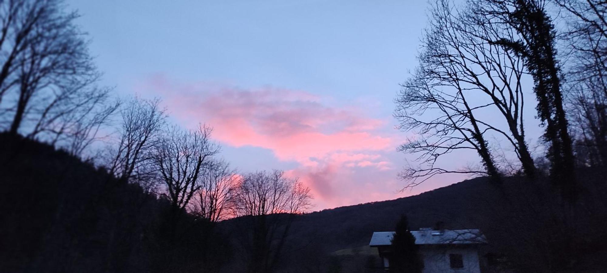 Villa Un Air D'Alsace Rimbach-près-Guebwiller Esterno foto